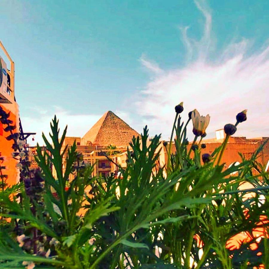 Carpet Alaadein Pyramids View Hotel Kafret el-Gabal Buitenkant foto